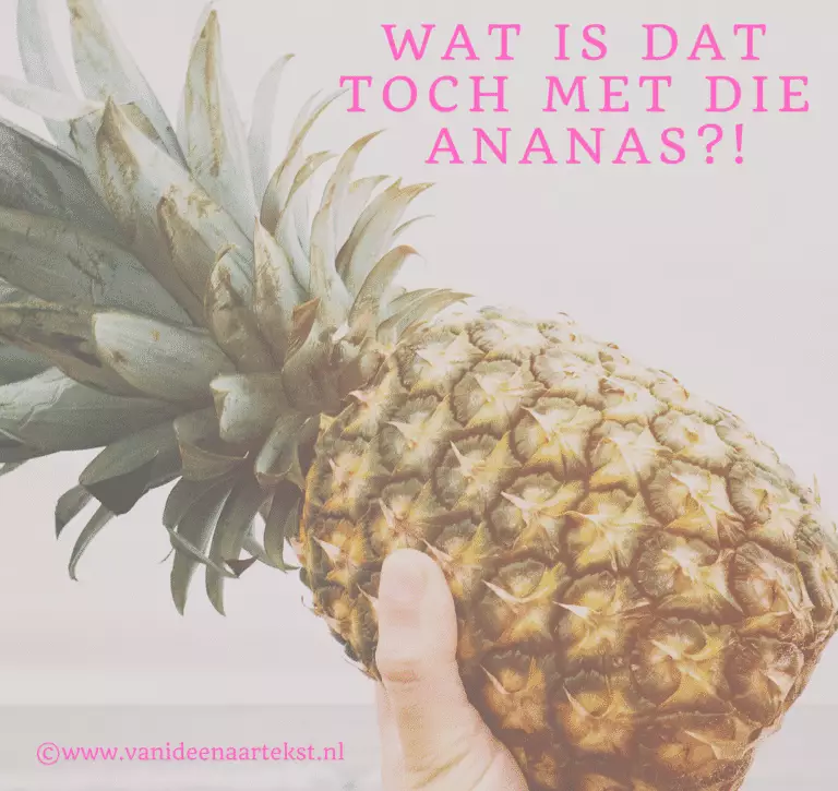 Blog ananas van idee naar tekst